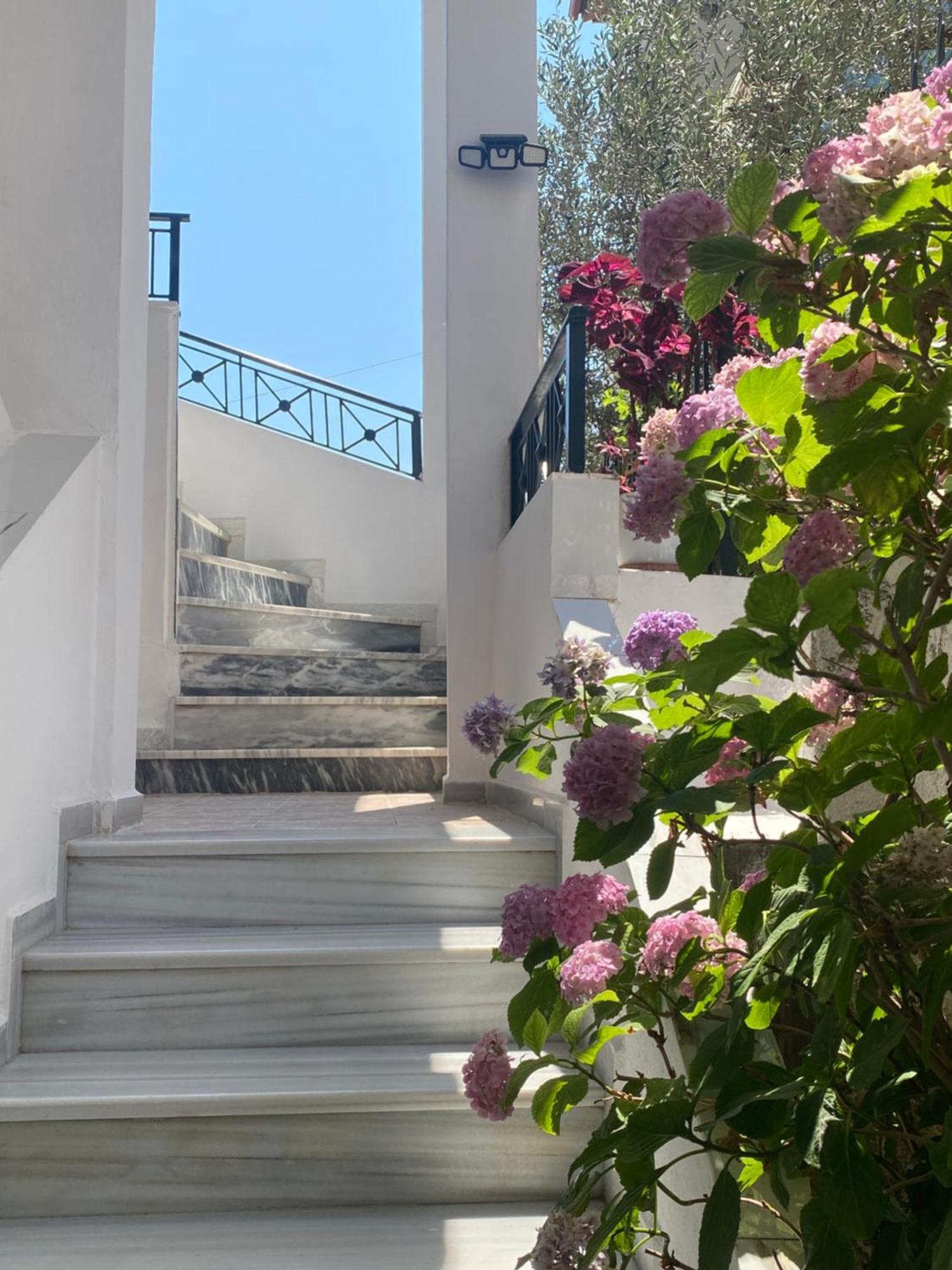 Vila Xhani Sarandë